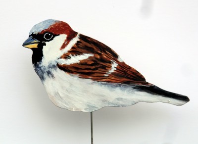 Haussperling 0045-a passer domesticus